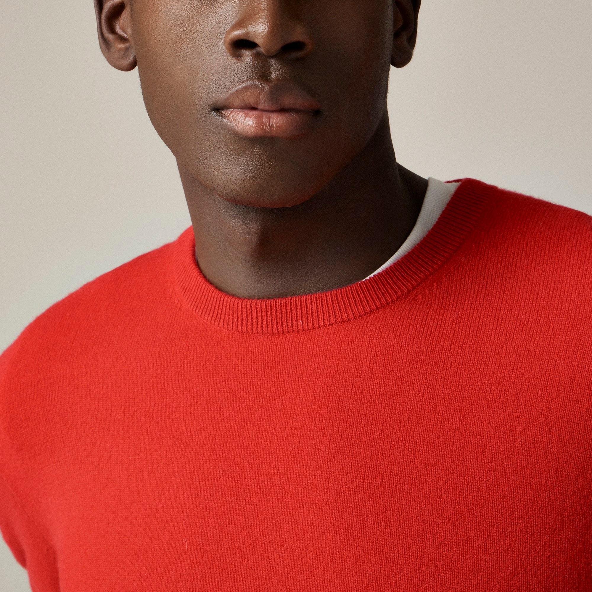 Cashmere crewneck sweater Product Image