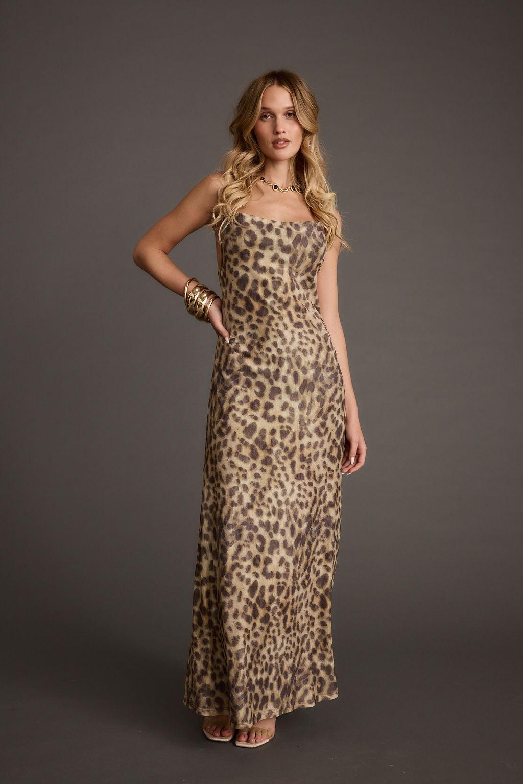 Wild Thing Leopard Print Mesh Maxi Dress Product Image