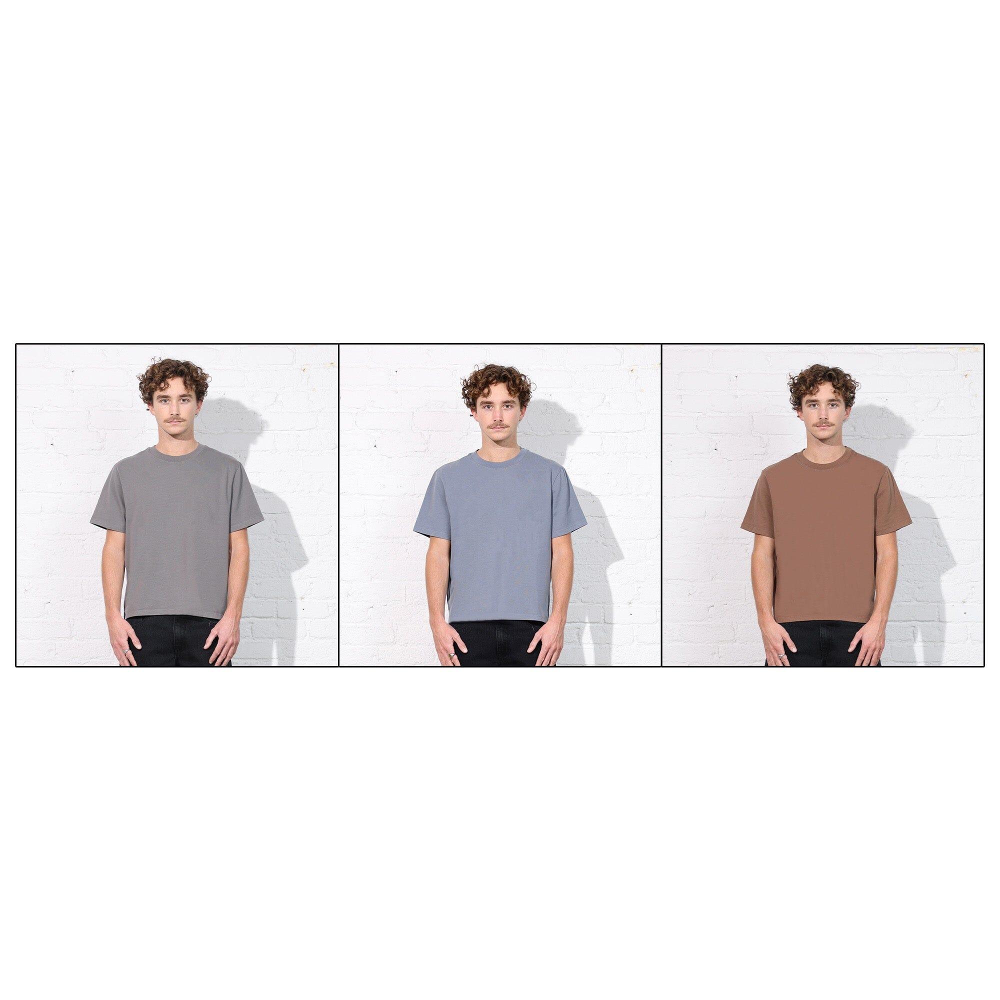 The Silverlake Crop Tee II Product Image