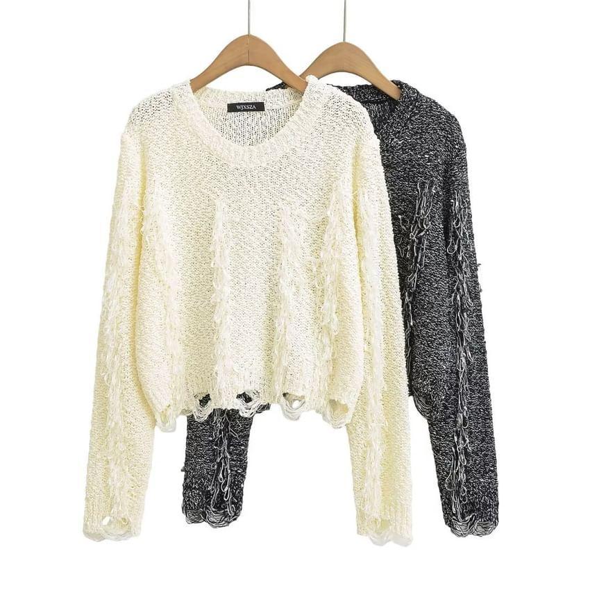 Crew Neck Plain Distressed Crop Sweater Product Image
