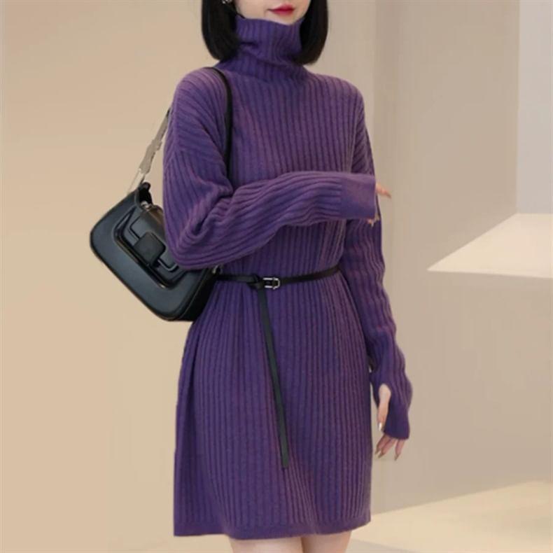 Long-Sleeve Turtleneck Plain Ribbed Mini Knit Dress Product Image