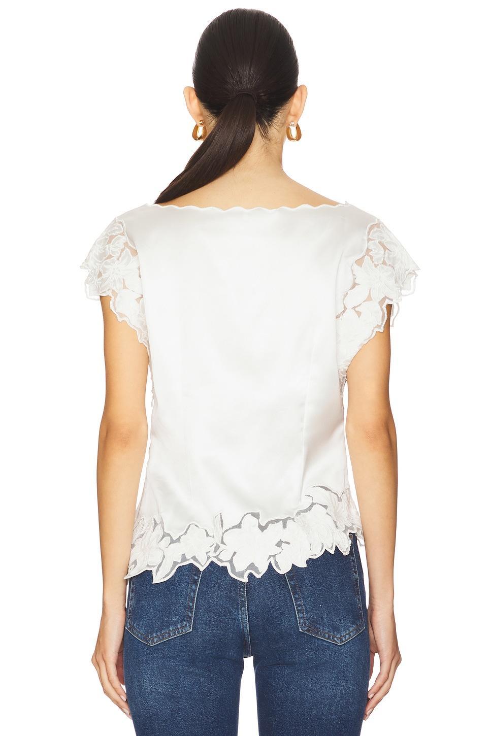 Begonia Top Lovers and Friends Product Image