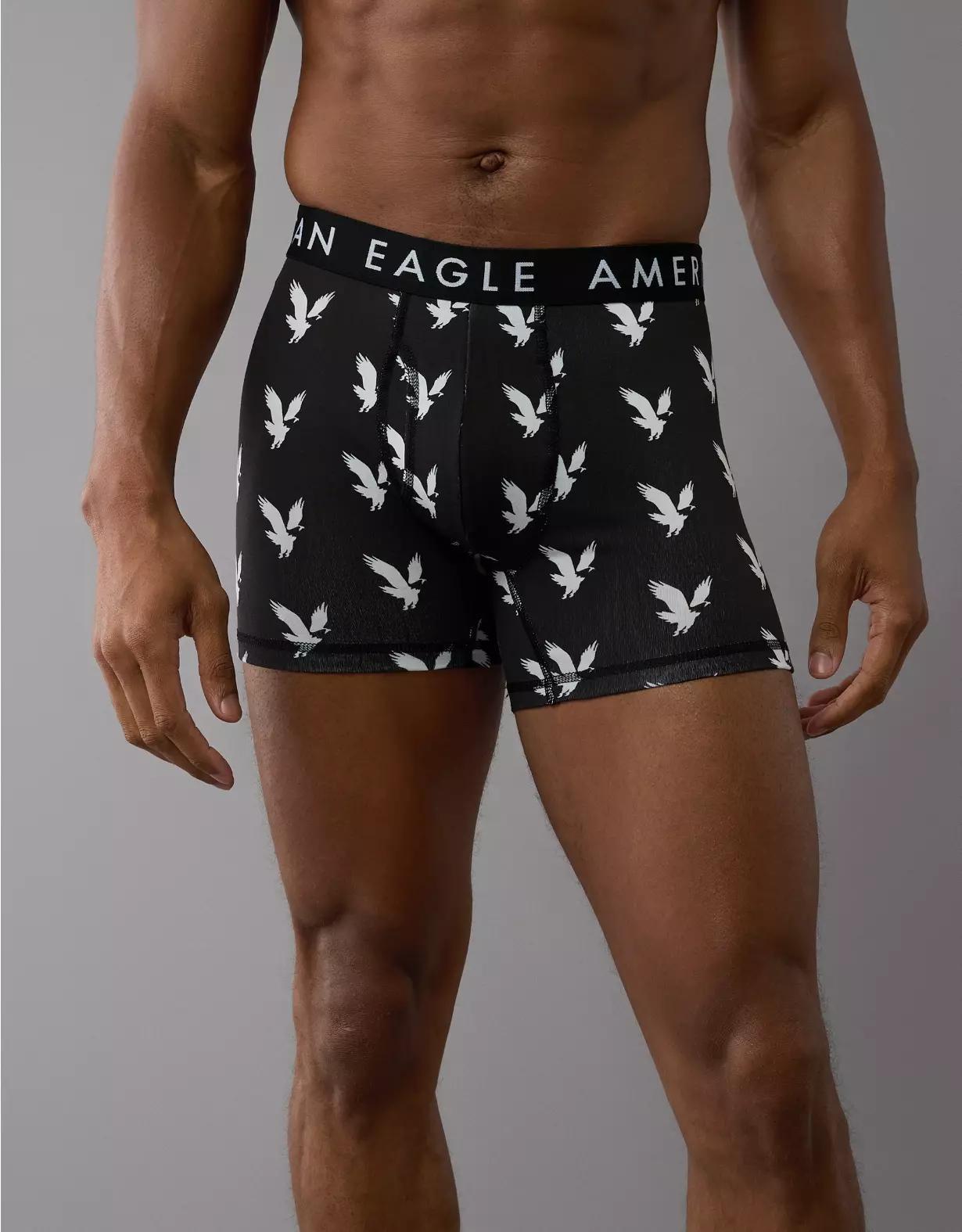AEO Men's Eagles 4.5" Classic Boxer Brief Product Image