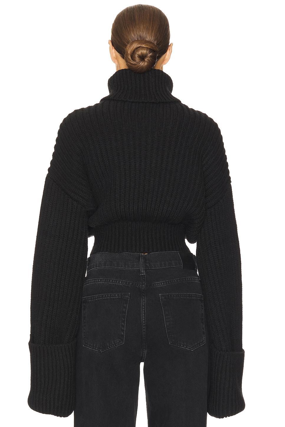 Esti Turtleneck Sweater Helsa Product Image