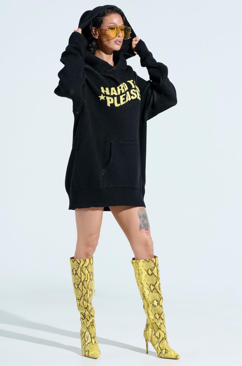 HARD TO PLEASE OVERSIZED HOODED SWEATER Product Image