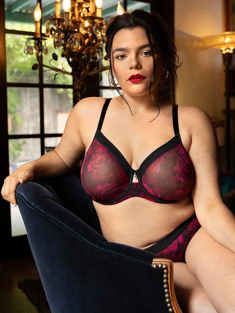 Sheer Mesh Unlined Bra Product Image