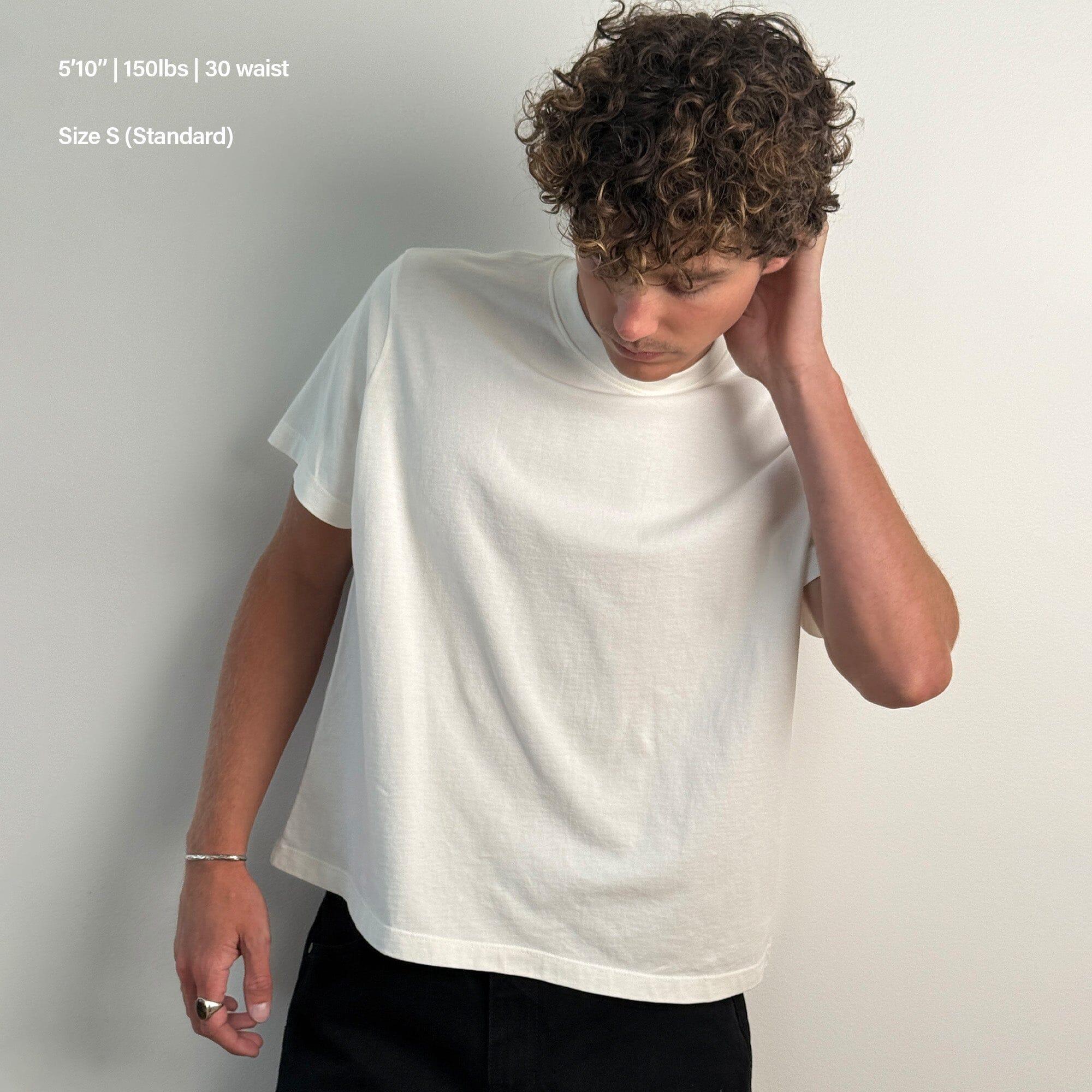 Silverlake Crop Tee II Product Image