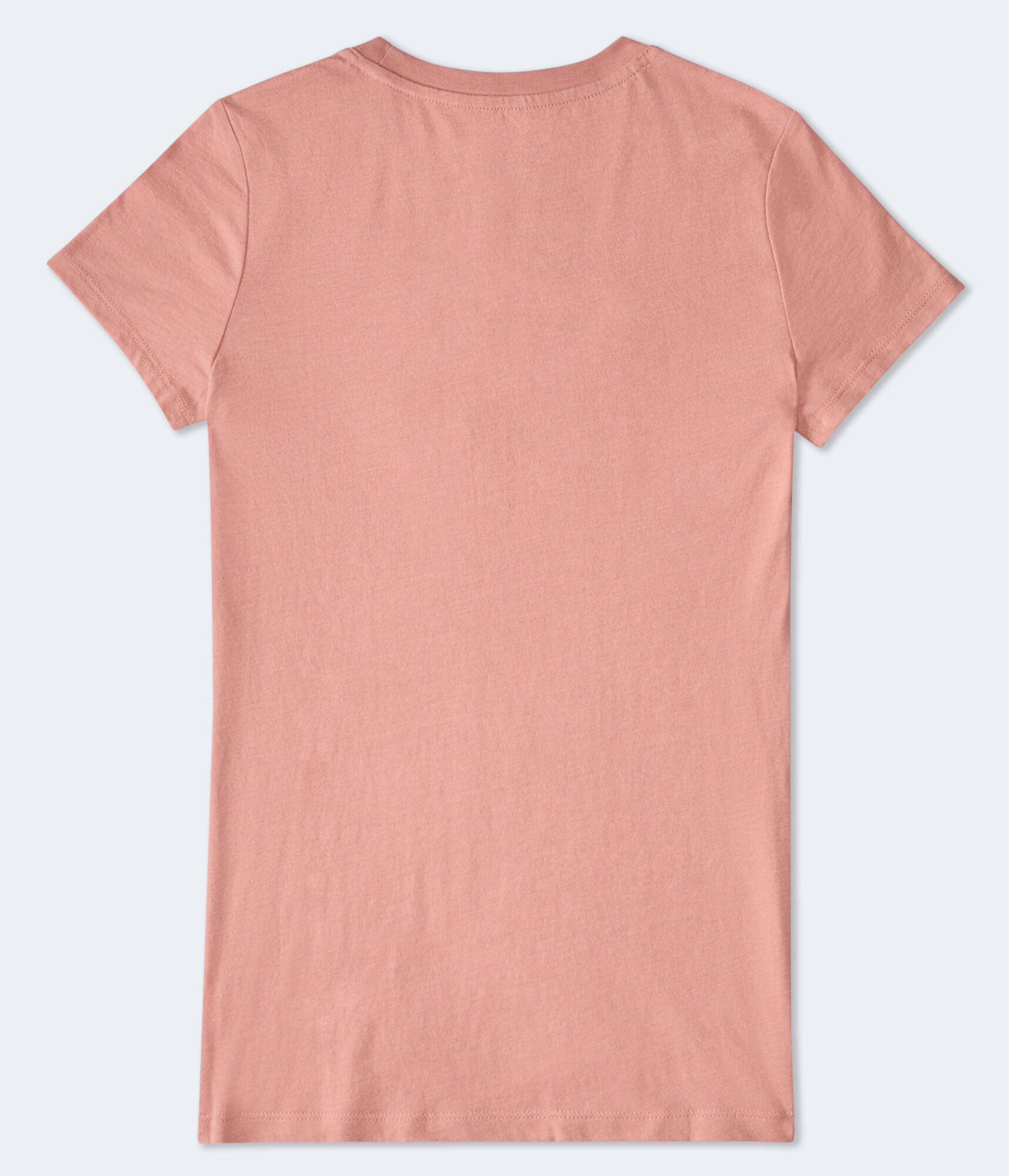 Aero 1987 Butterfly Appliqué Graphic Tee Product Image