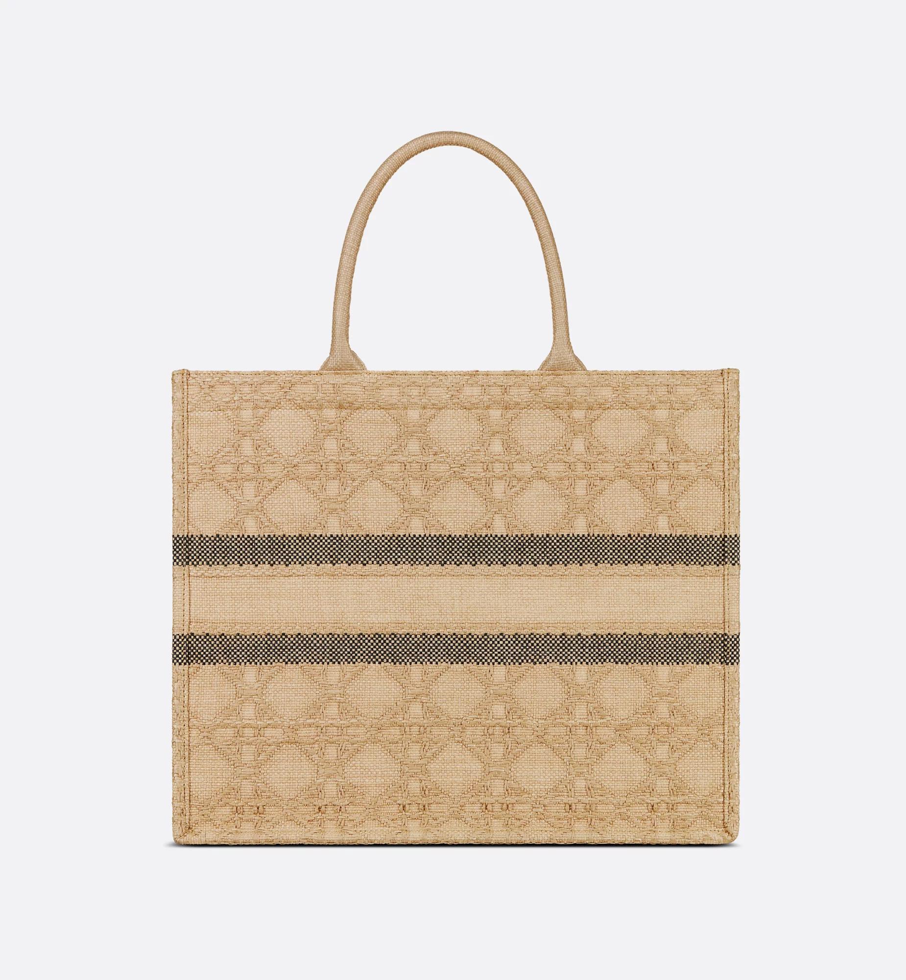 Large Dior Book Tote Product Image