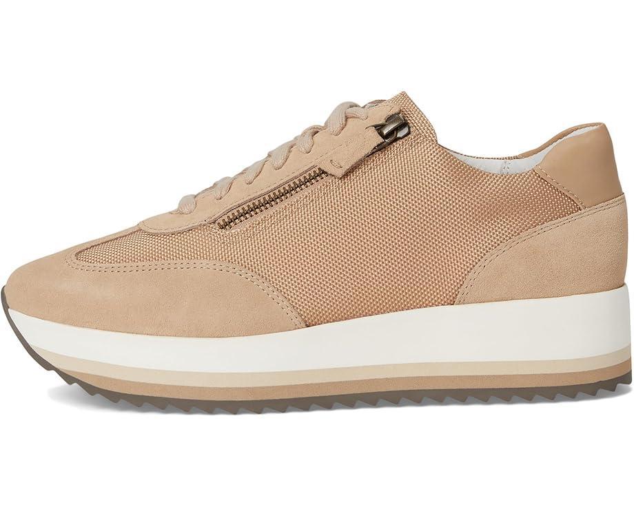 Gracie Color-Block Lace-Up Product Image