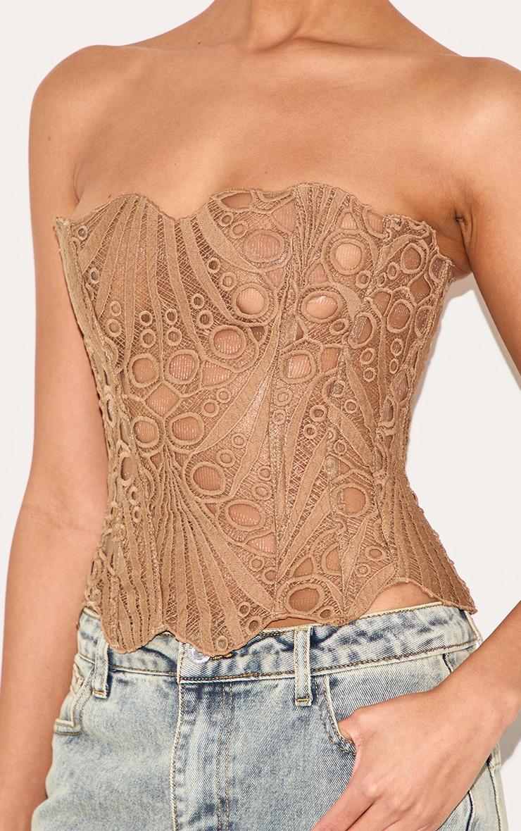 Brown Textured Sheer Floral Lace Corset Product Image