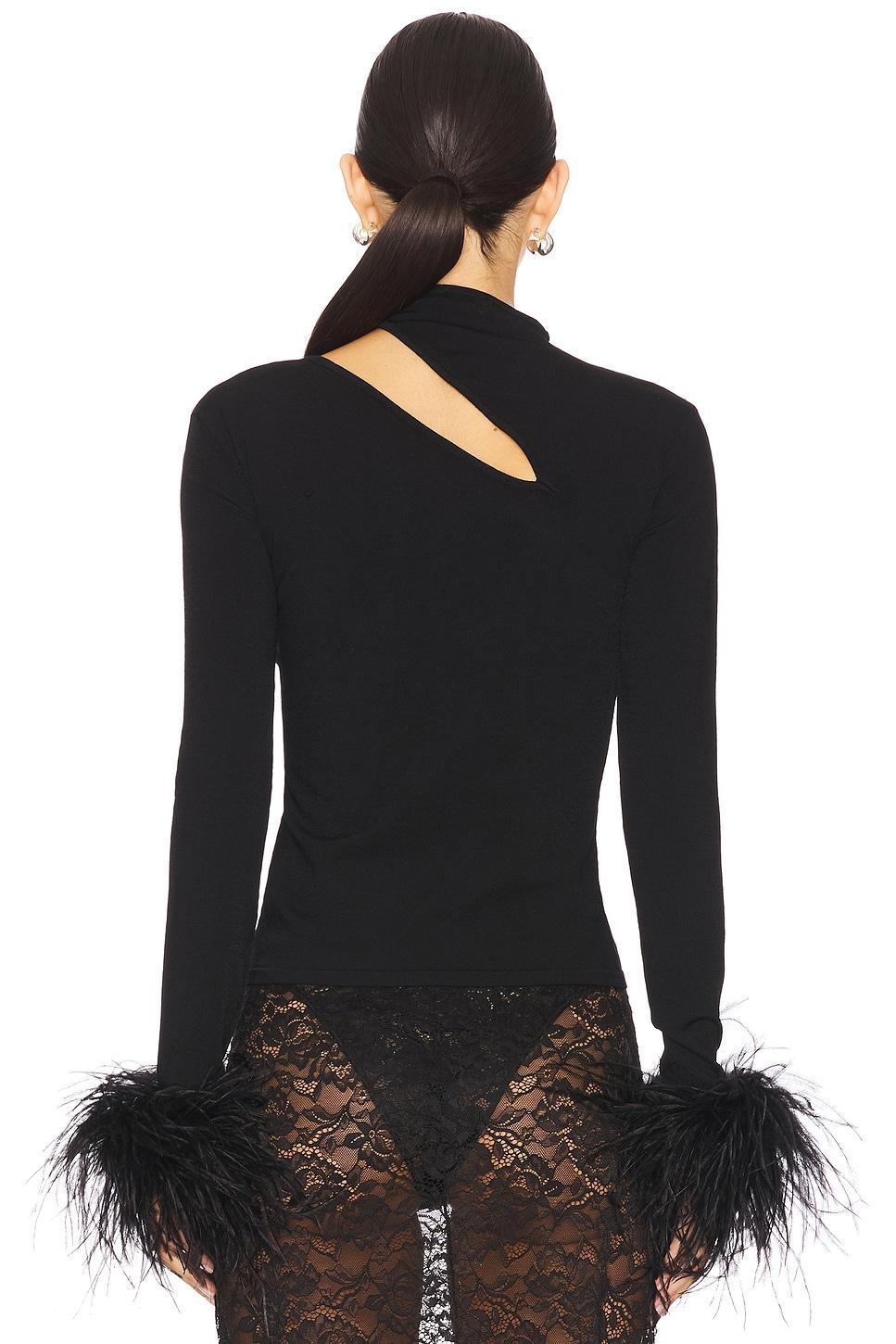 Asymmetric Top With Feathers Lapointe Product Image