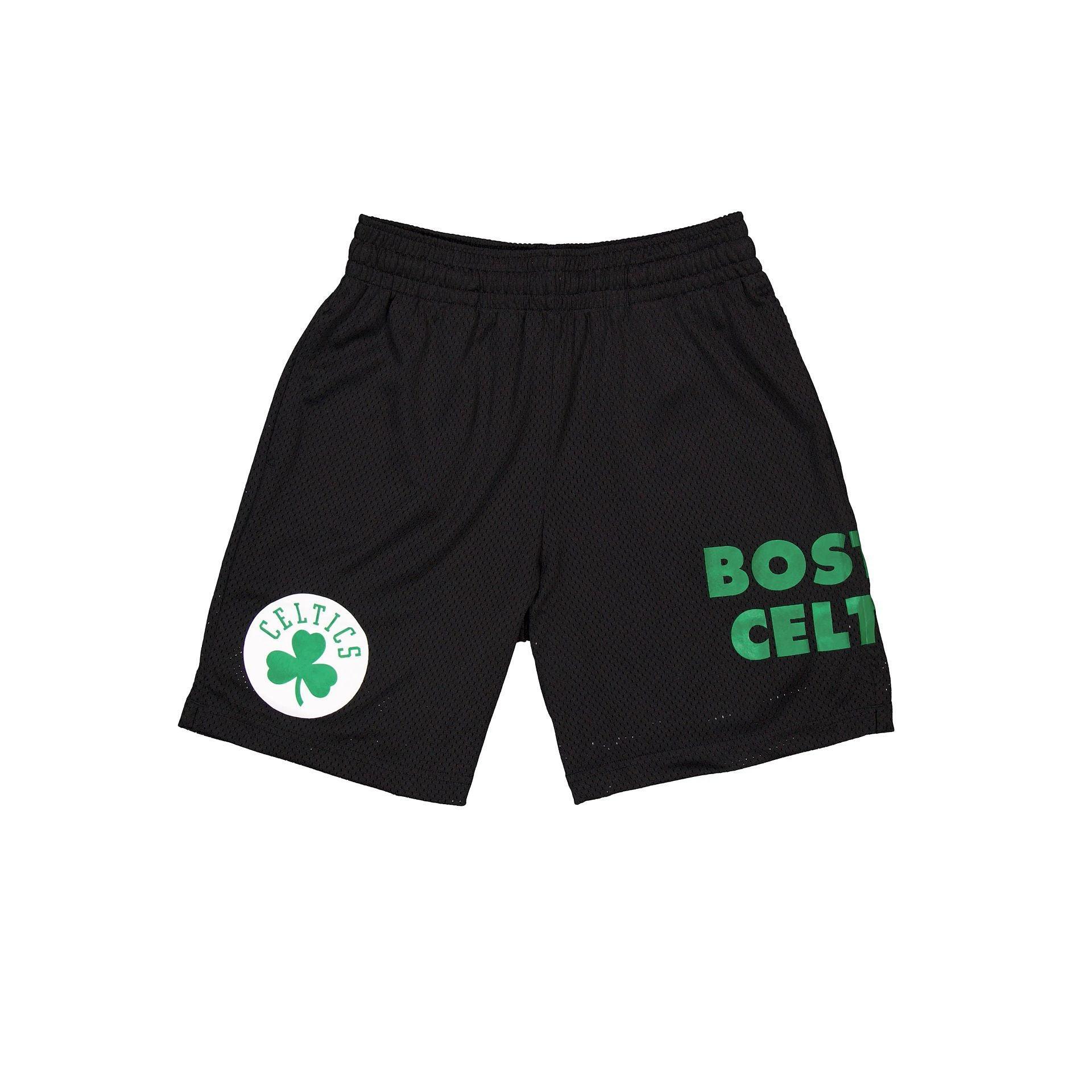 Phoenix Suns Mesh Shorts Male Product Image