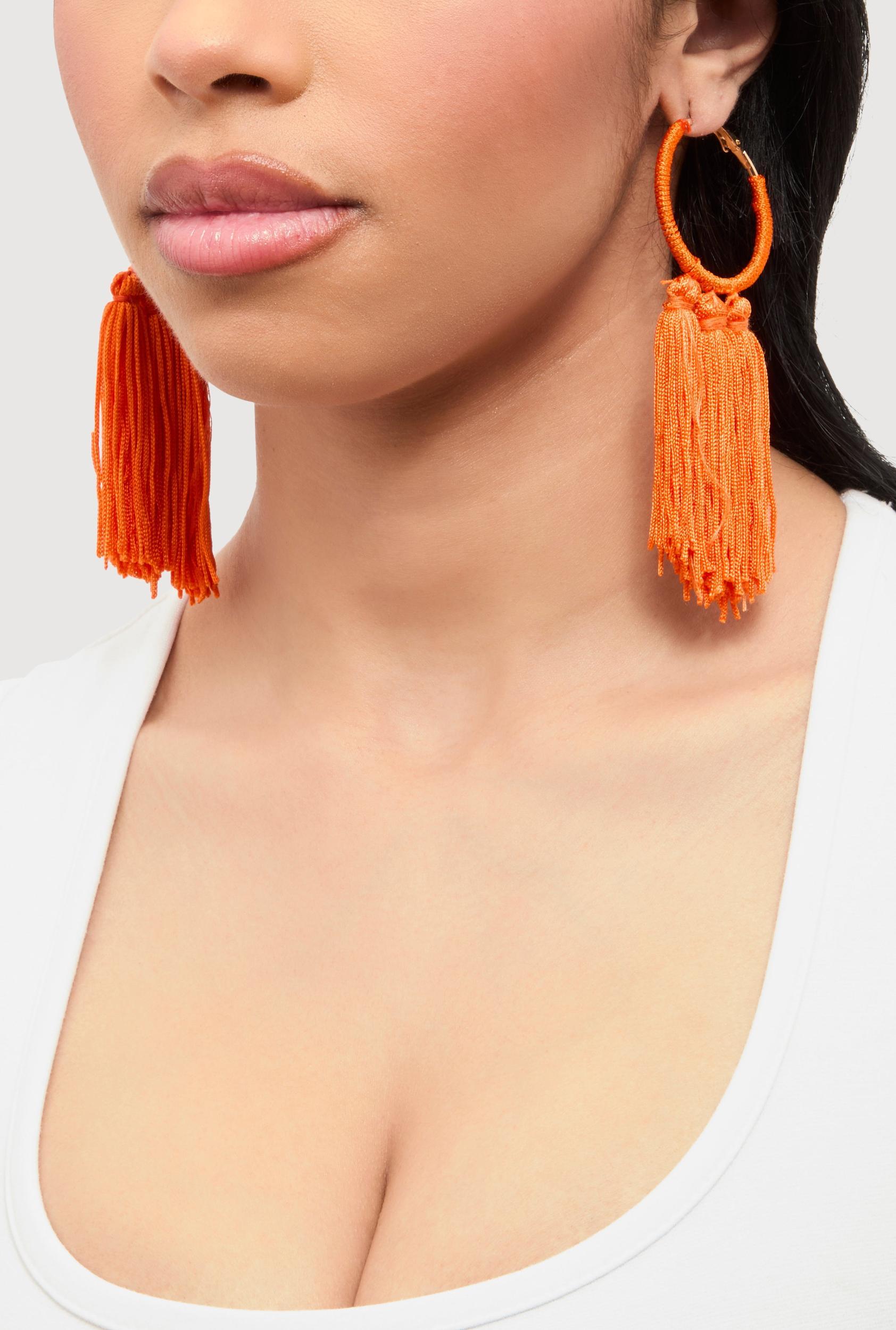 Tassel Hoop Earrings Female Product Image