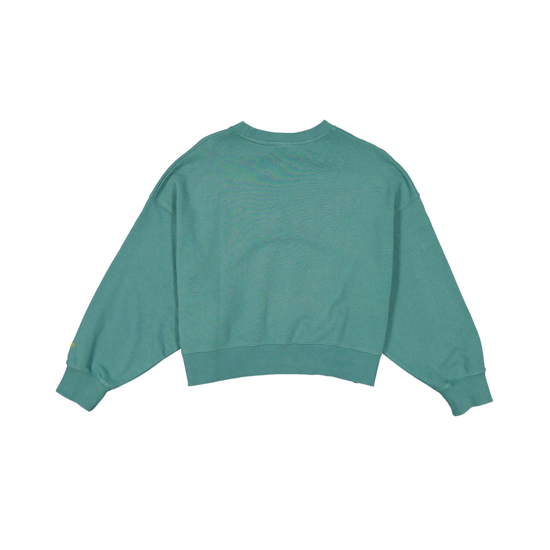 Boston Red Sox City Connect Women's Distressed Crewneck Female Product Image