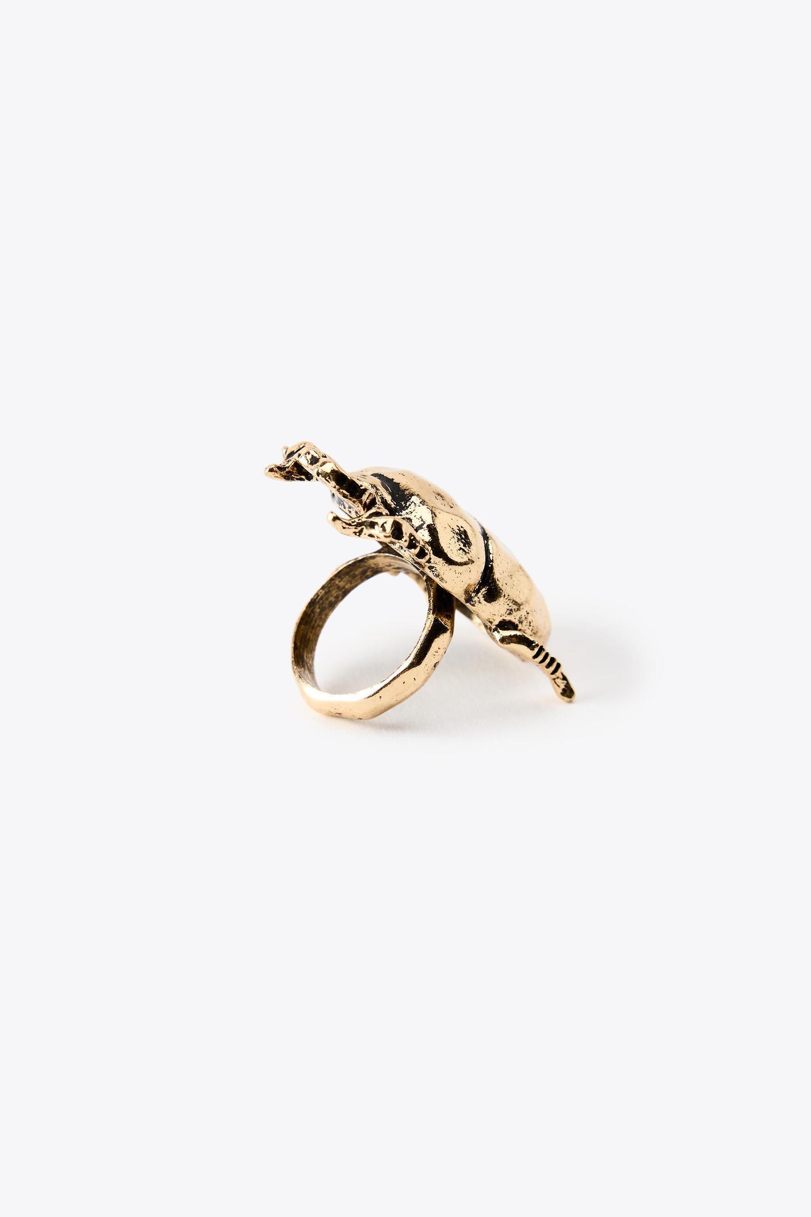 PACK OF 2 MAXI INSECT RINGS Product Image