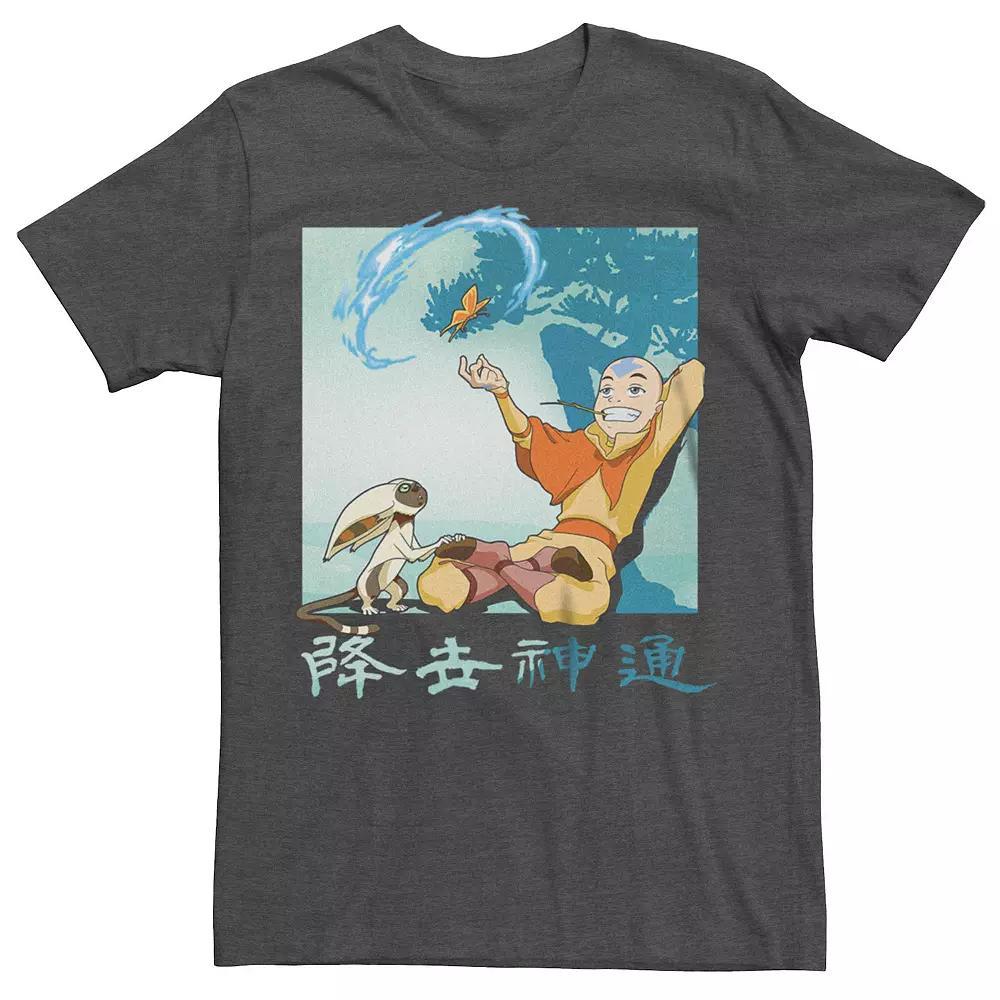 Men's Avatar: The Last Airbender Aang And Momo Tee, Size: XXL, Grey Heather Product Image