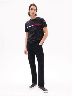 Signature Flag Stripe Logo T-Shirt Product Image