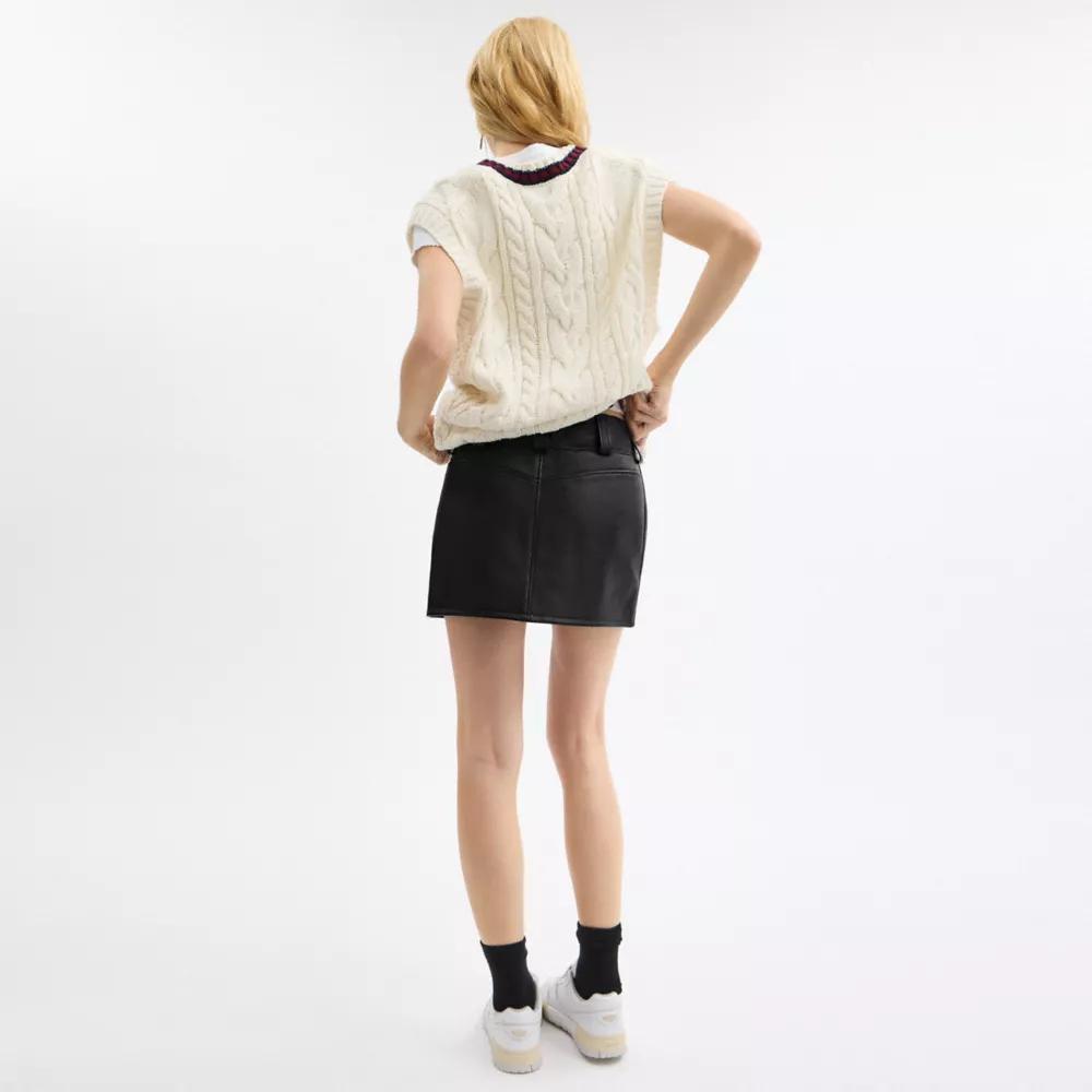 Leather Mini Skirt Product Image
