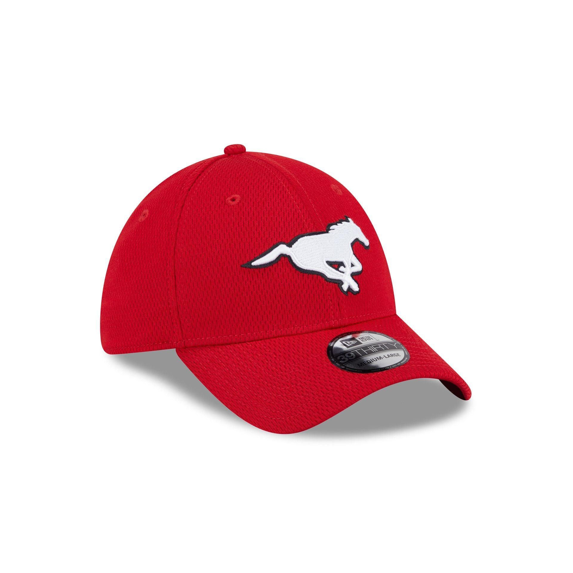 Tennessee Titans Team Classic 39THIRTY Stretch Fit Hat Male Product Image