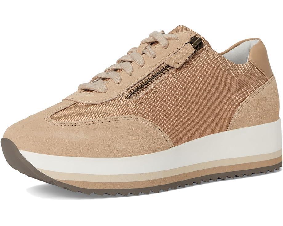 Gracie Color-Block Lace-Up Product Image