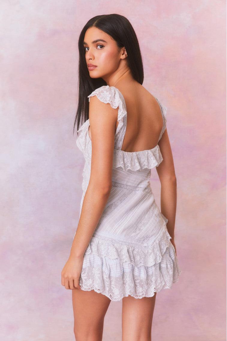 Bensley Fitted Lace Mini Dress Product Image