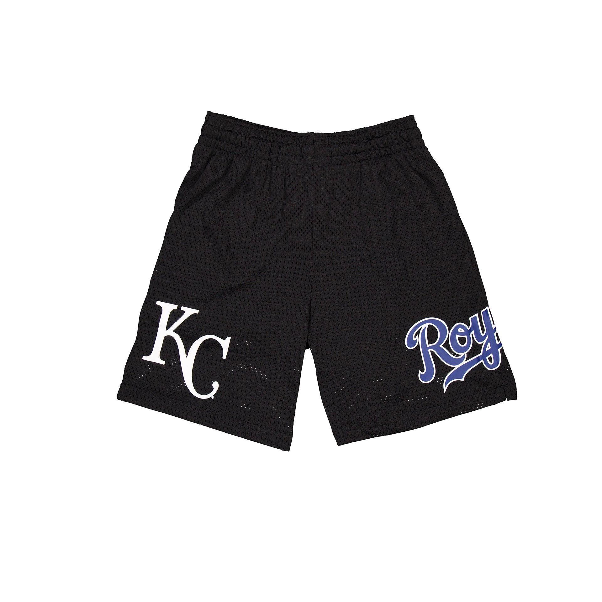 Tampa Bay Rays Mesh Shorts Male Product Image