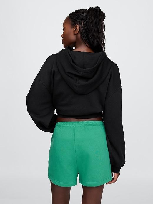 VintageSoft Arch Logo Cropped Hoodie Product Image