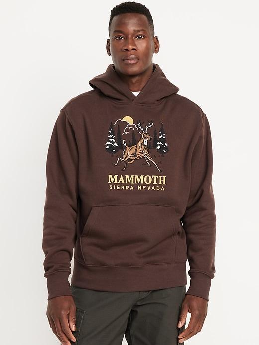 Oversized Essential Graphic Hoodie Product Image