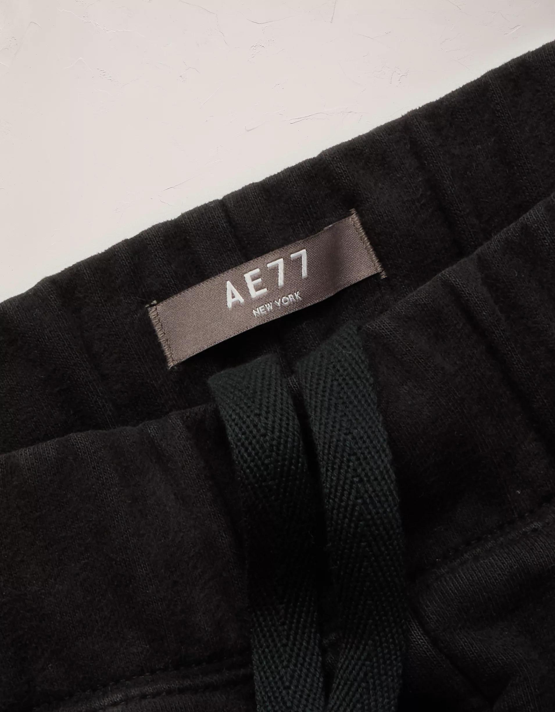 AE77 Premium Fleece Sweatpant Product Image