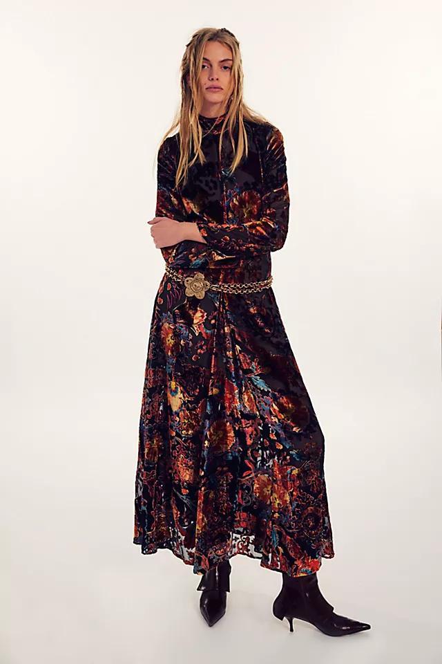 Bali Painterly Paisley Velvet Maxi Dress Product Image