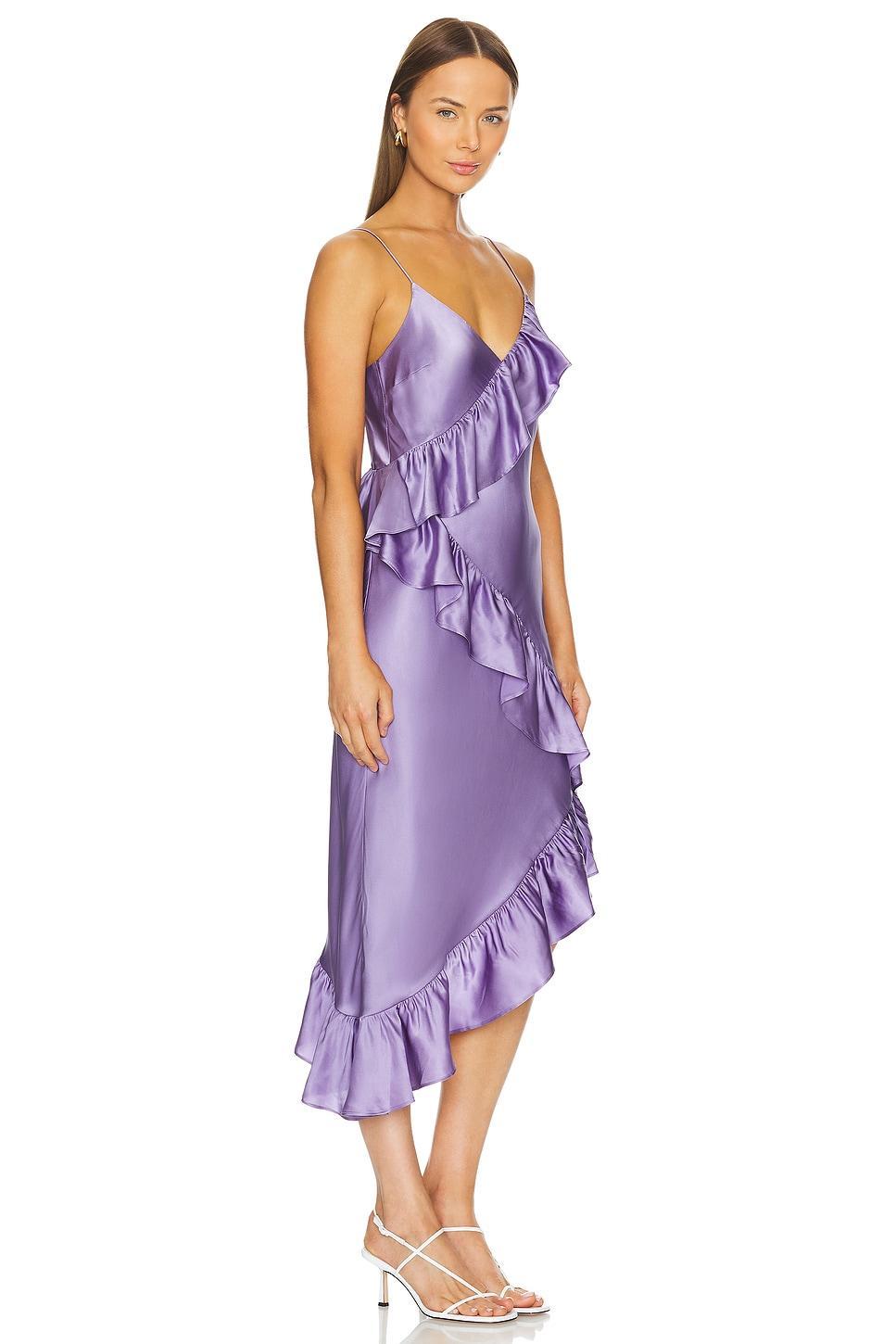 Dua Dress CAMI NYC Product Image