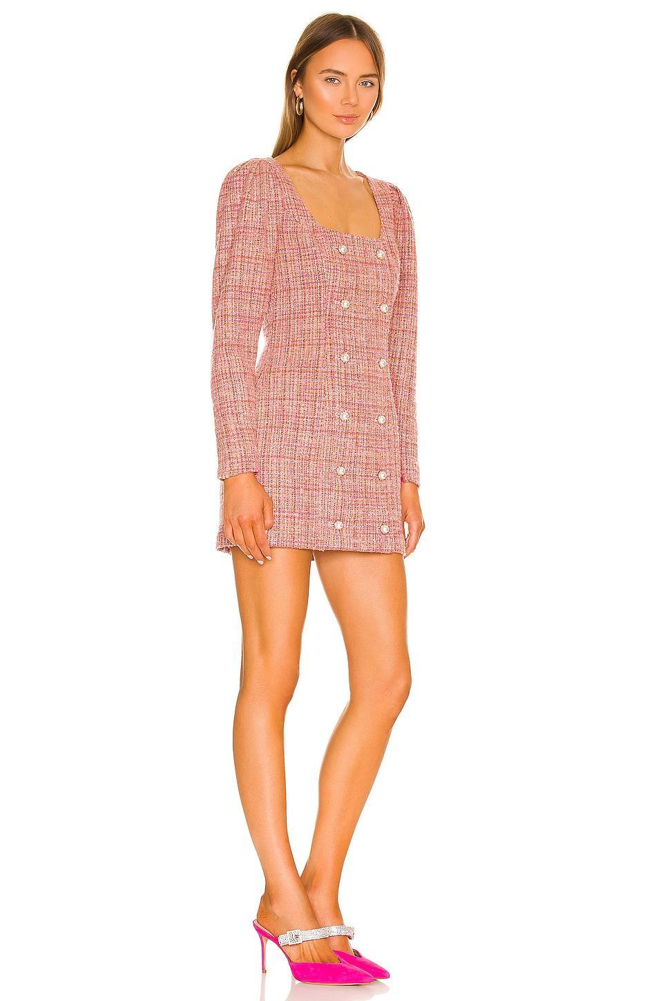 Amira Mini Dress Lovers and Friends Product Image