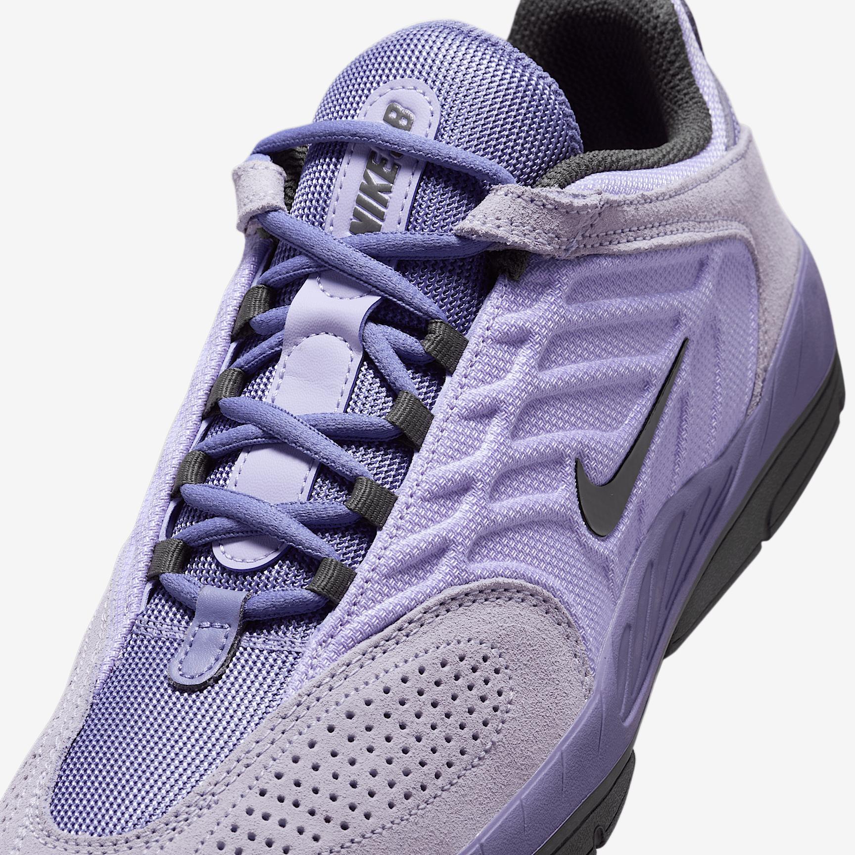 Men's Nike SB Vertebrae Shoes Product Image