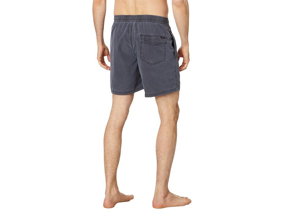 Quiksilver 17 Everyday Surfwash Volley Shorts Men's Swimwear Product Image
