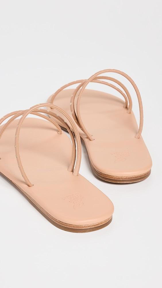Ancient Greek Sandals Lynx Sandals | Shopbop Product Image