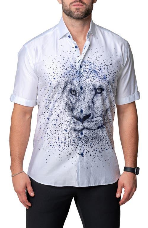 Mens Galileo Lion Dissolve Sport Shirt Product Image