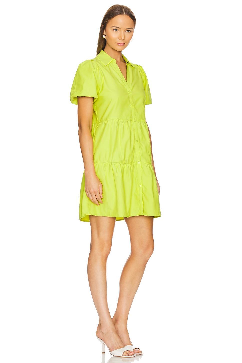 Havana Mini Dress Brochu Walker Product Image