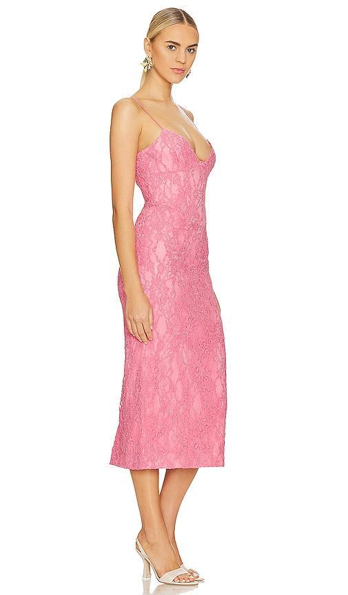 Hadley Midi Lace Dress Bardot Product Image