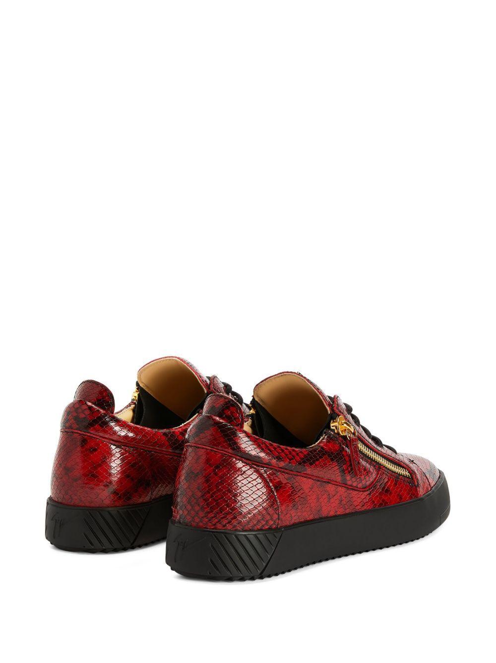 Frankie low top-sneakers Product Image