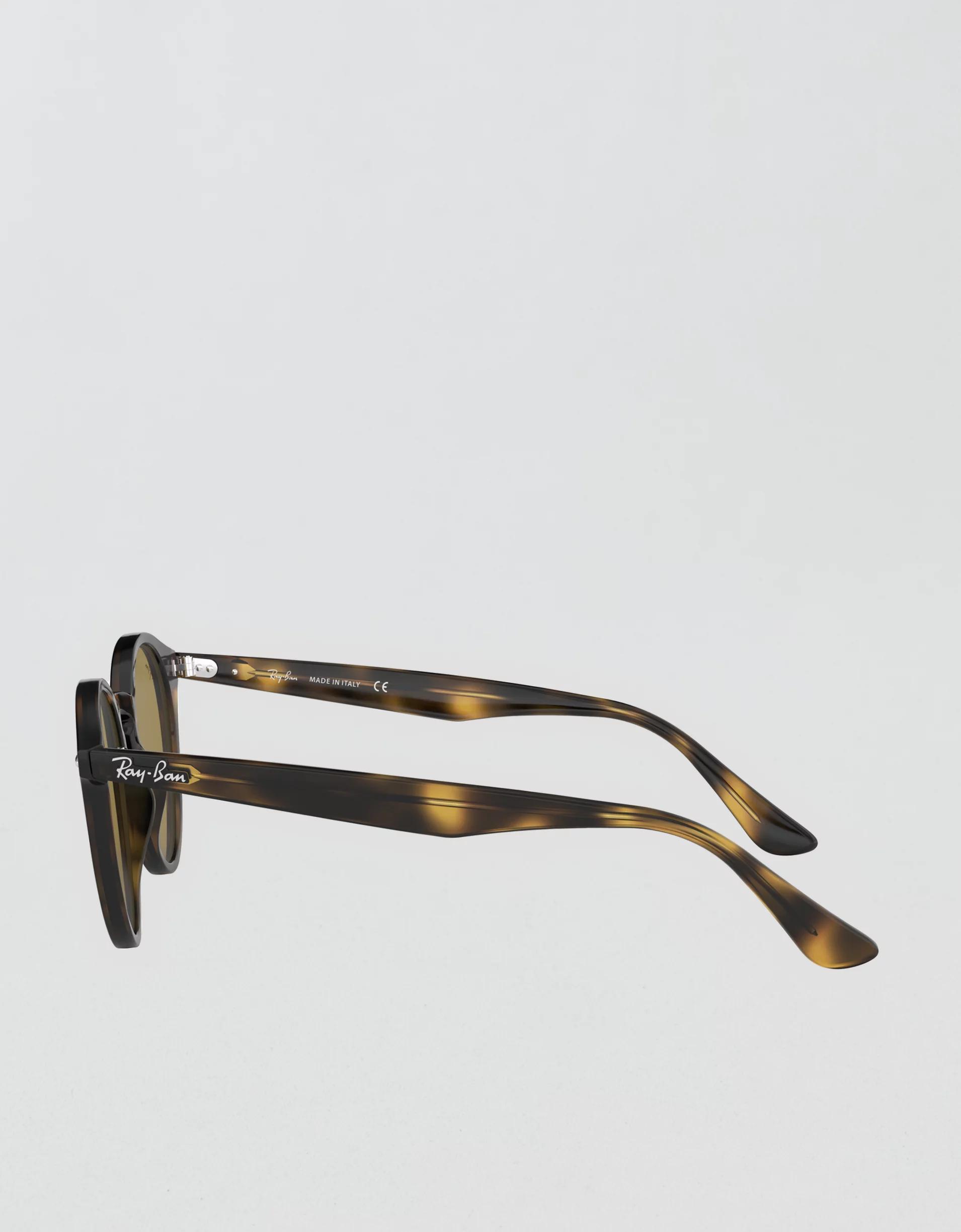 Ray-Ban Round Sunglasses Product Image