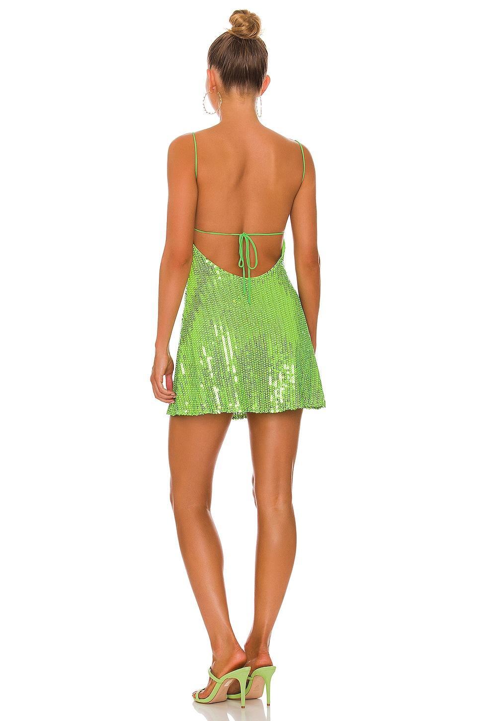 Jessenia Mini Dress Product Image