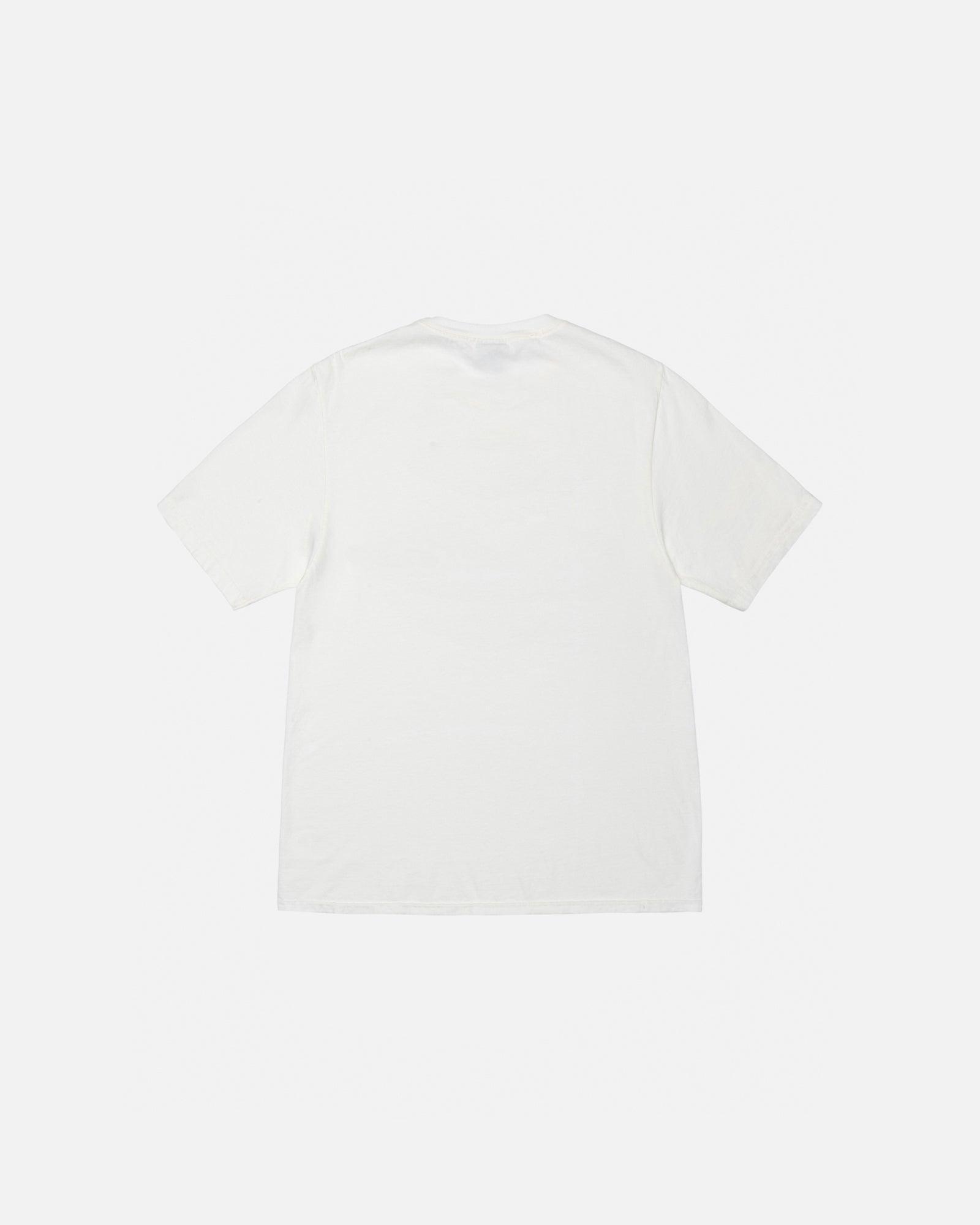 JUMBO TEE PIGMENT DYED Male Product Image