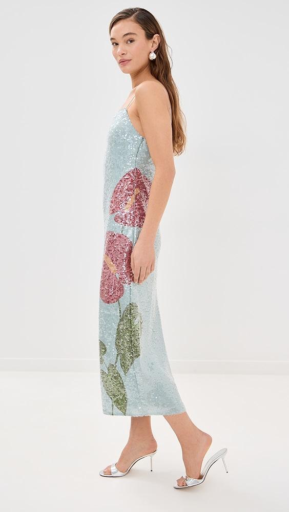 FARM Rio Anthurium Flowers Slip Maxi Dress | Shopbop Product Image