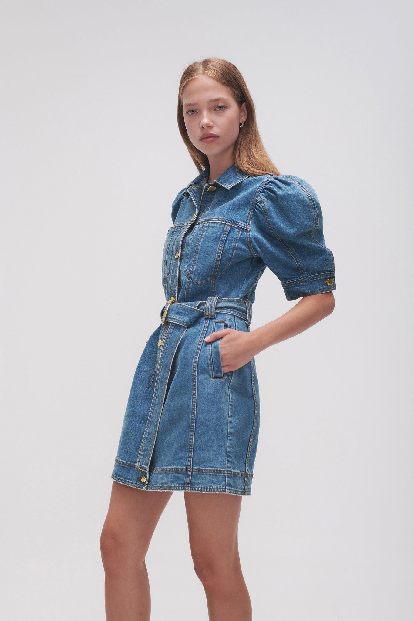 Adriana Puff Sleeve Mini Dress Product Image