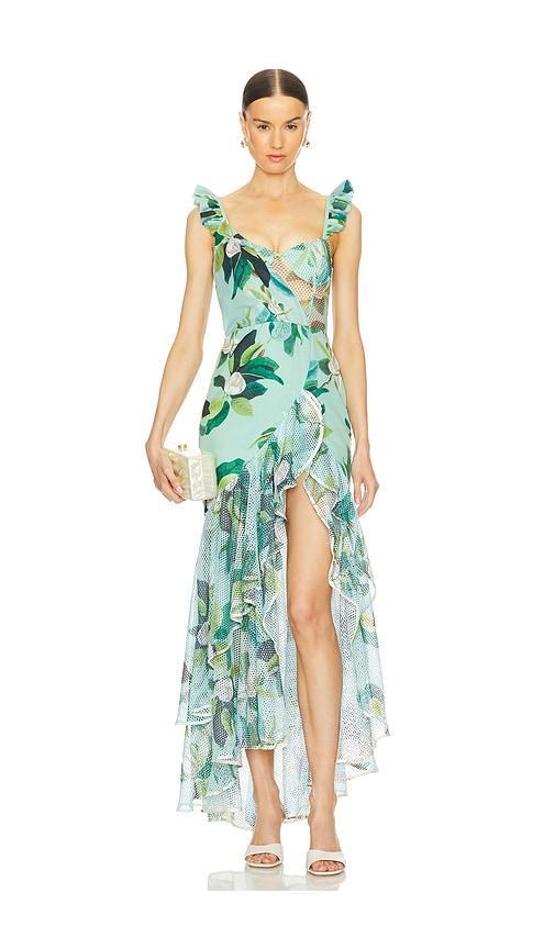 Magnolia Bustier Maxi Dress PatBO Product Image