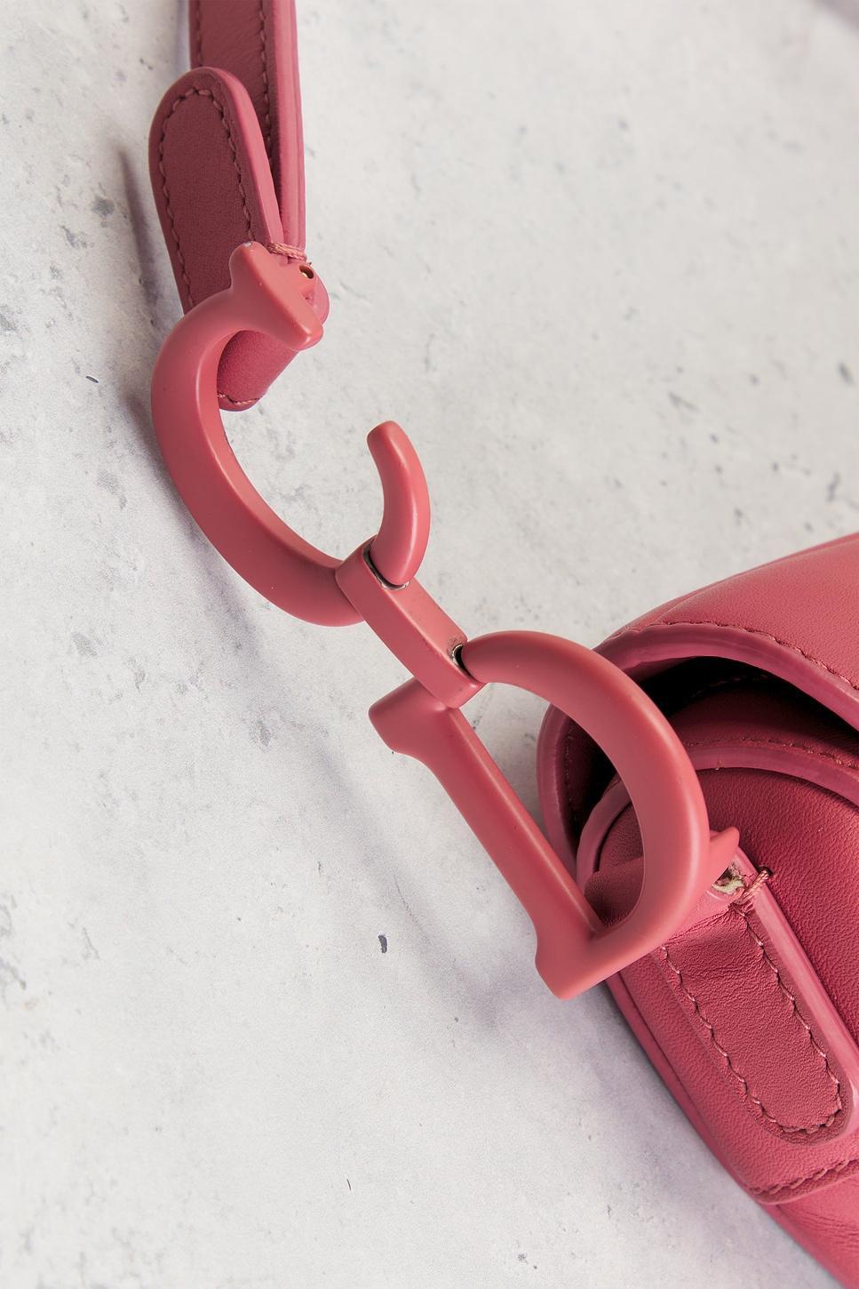 Dior Mini Saddle Bag FWRD Renew Product Image