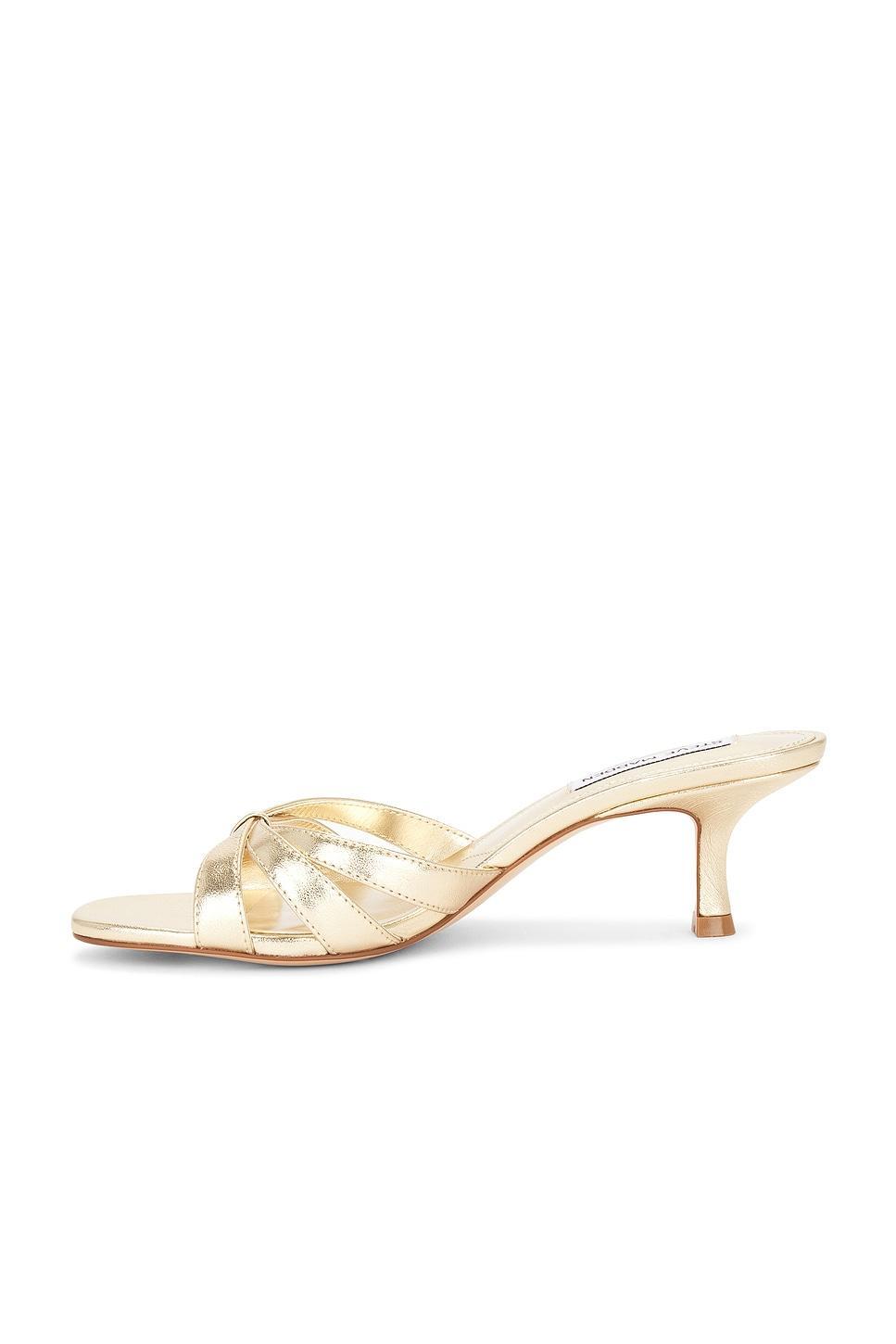 Cary Sandal Steve Madden Product Image