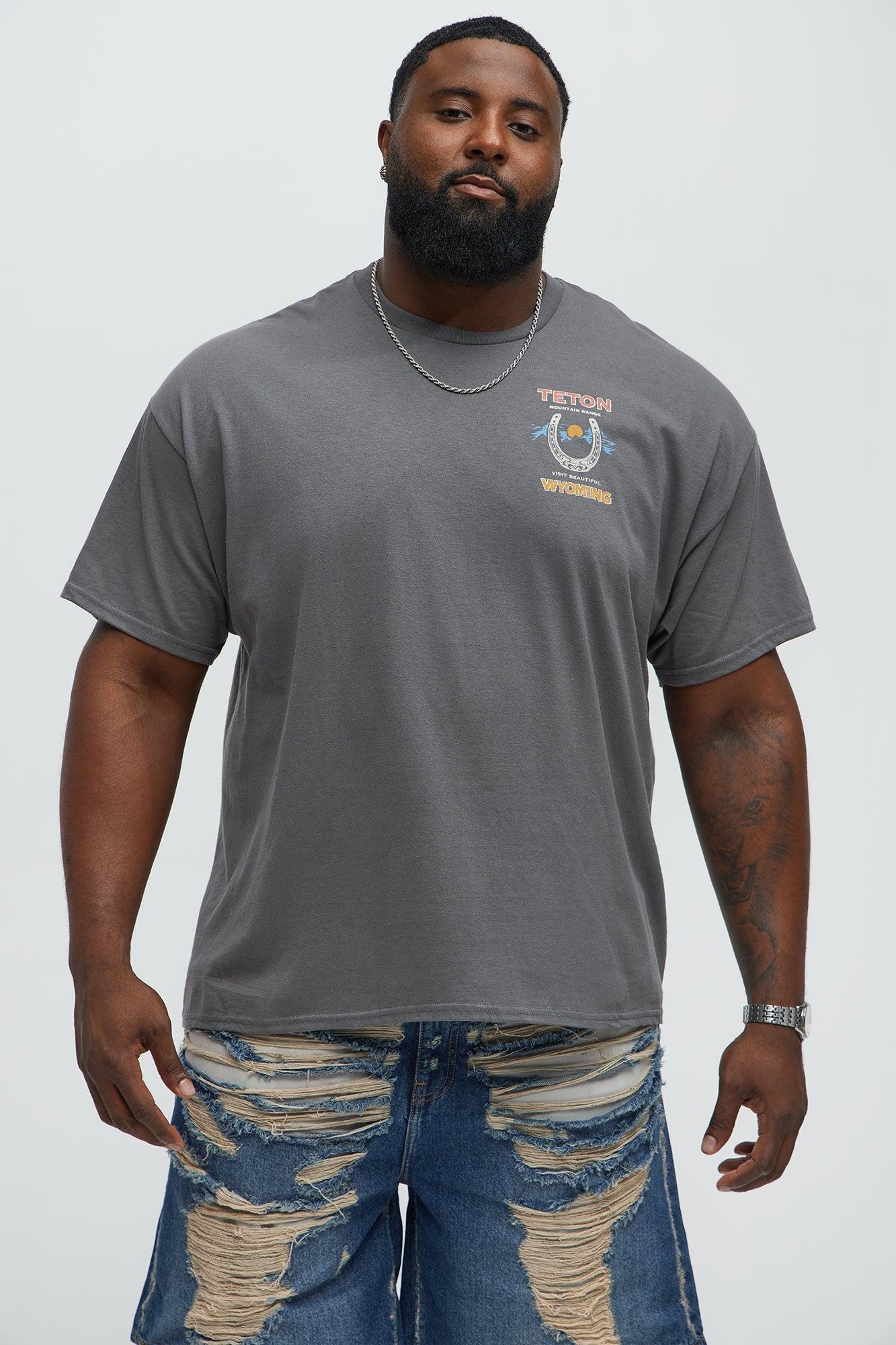 Teton Mountain Range Short Sleeve Tee - Charcoal Male Product Image