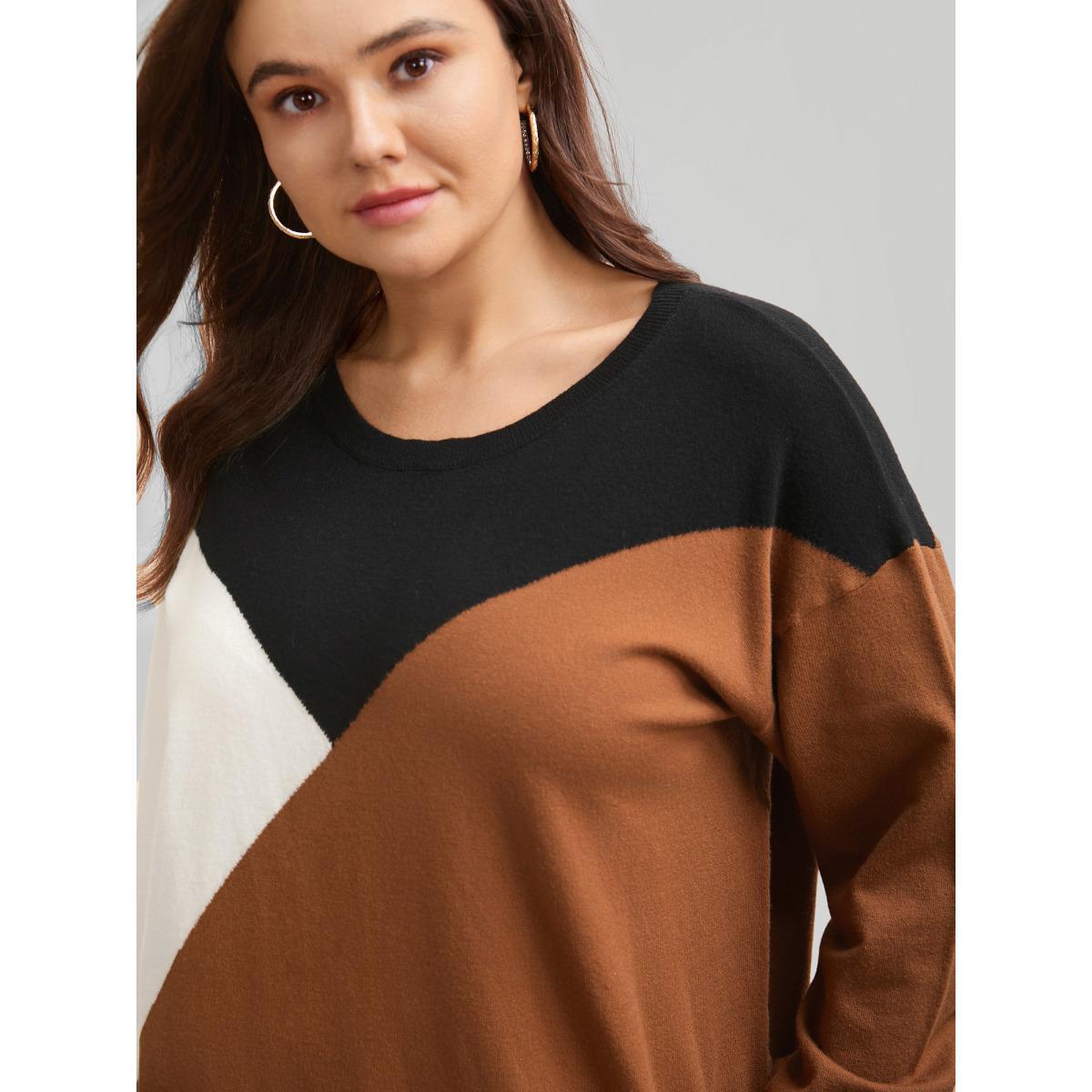 Plus Size Supersoft Essentials Colorblock Contrast Pullover Browncoffeecolor Women Casual Long Sleeve Round Neck Everyday Pullovers BloomChic 22-24/3X Product Image
